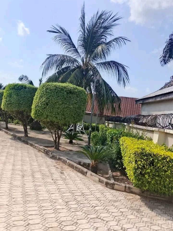 Additional view of One Bedroom Apartment for Rent