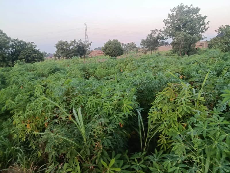Additional view of Spacious Land for Sale in Yaikyo Makurdi
