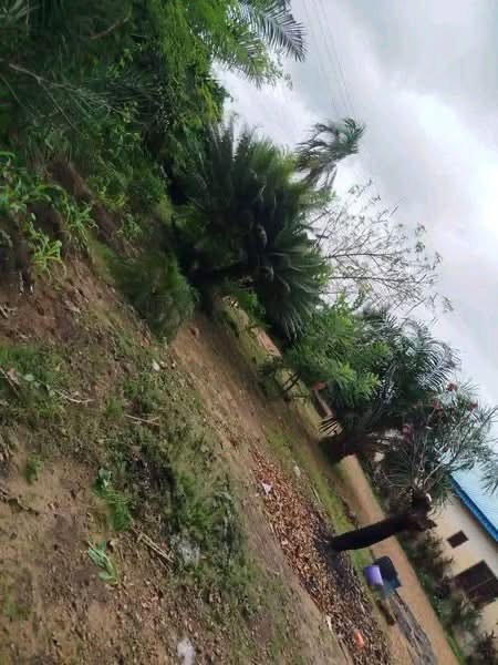 Additional view of Big 2 Bedroom Bungalow with BQ
