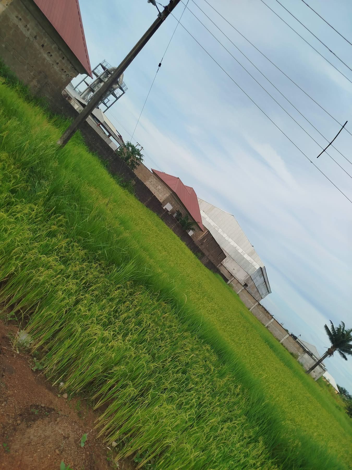 Additional view of Industrial Layout Land