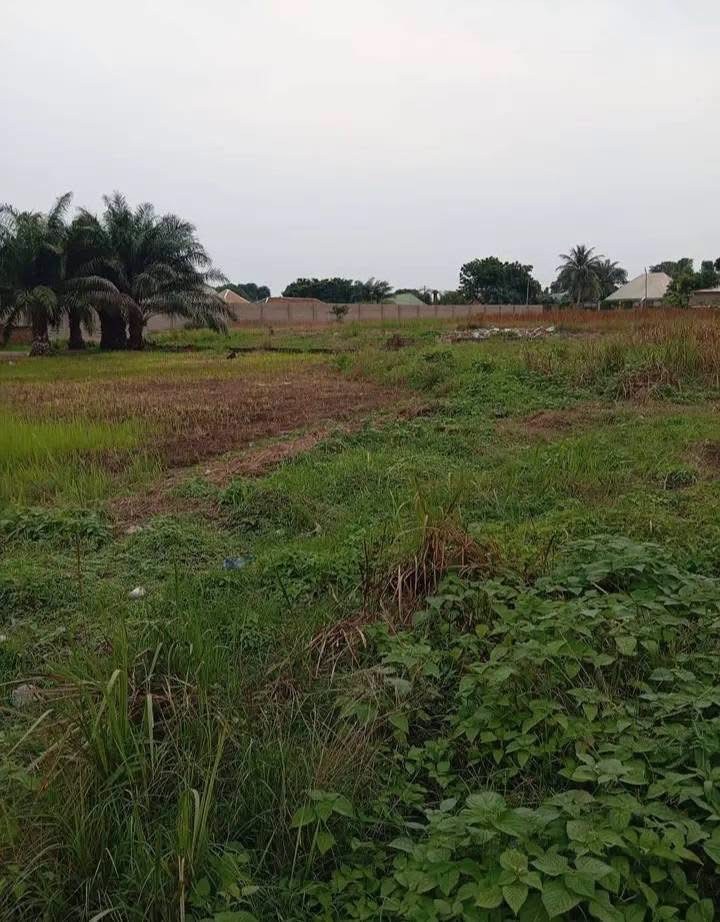 Additional view of Strategic Land for Sale, Judges Quarters