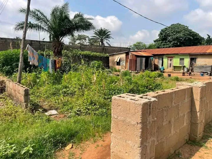 100/80 Plot of Land for Sale for sale in KM5 Gboko Road, Makurdi, Benue