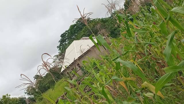 Additional view of Spacious Land Plot in Yaikyo Makurdi