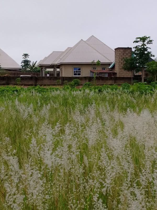 Land Plot Behind Barna Water Factory for sale in Behind Barna Water Factory, Gboko, Benue