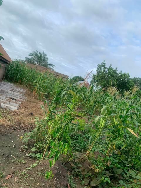 Land for Sale Behind NKST Church for sale in Achusa, Makurdi, Benue