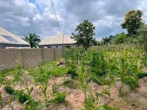 Additional view of Serviced Plot in Tse-Poor, Makurdi
