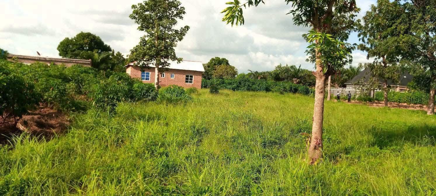 Additional view of Strategic Land in Yaikyo Layout Makurdi