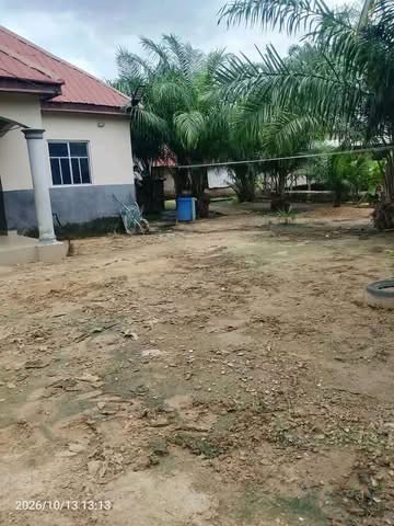 Additional view of 3 Bedroom Flat with BQ