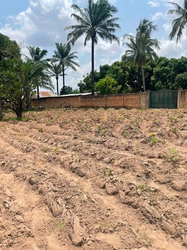 Sweet Upland Property for Sale for sale in Yaiko New Road, Makurdi, Benue