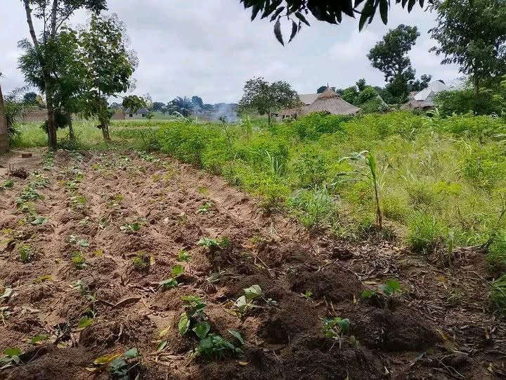 Land for Sale in Gboko for sale in Gboko, Benue