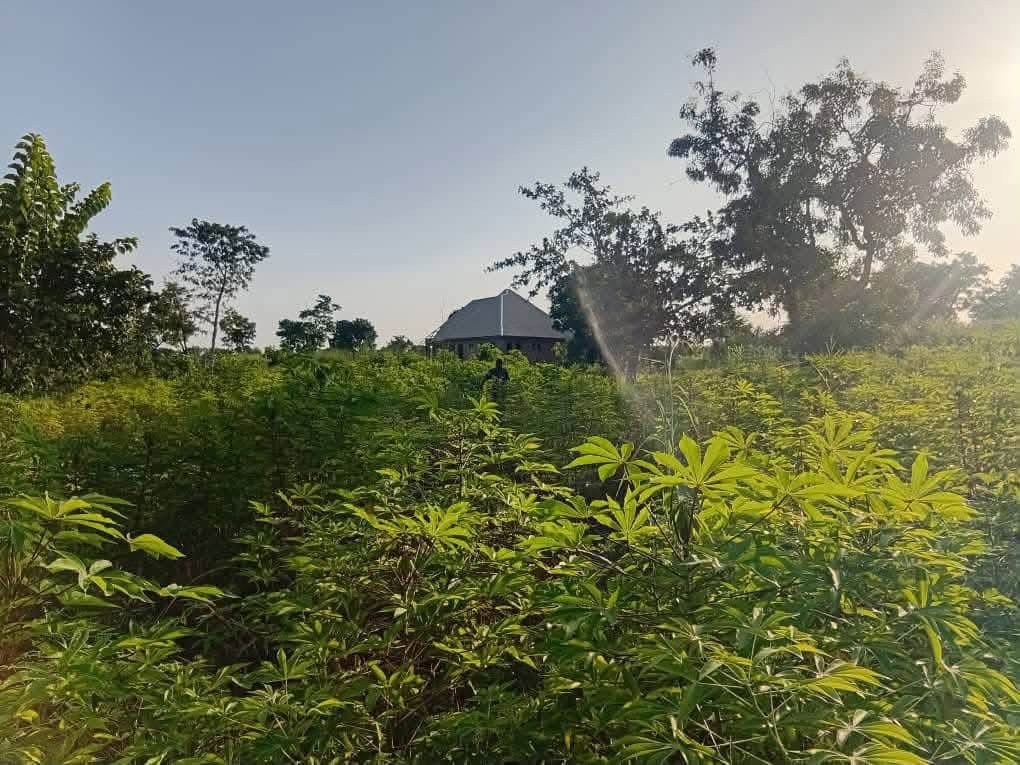 Additional view of 50x50 Plot of Land for Sale