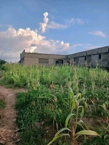 Additional view of Land for Sale in Yaikyo