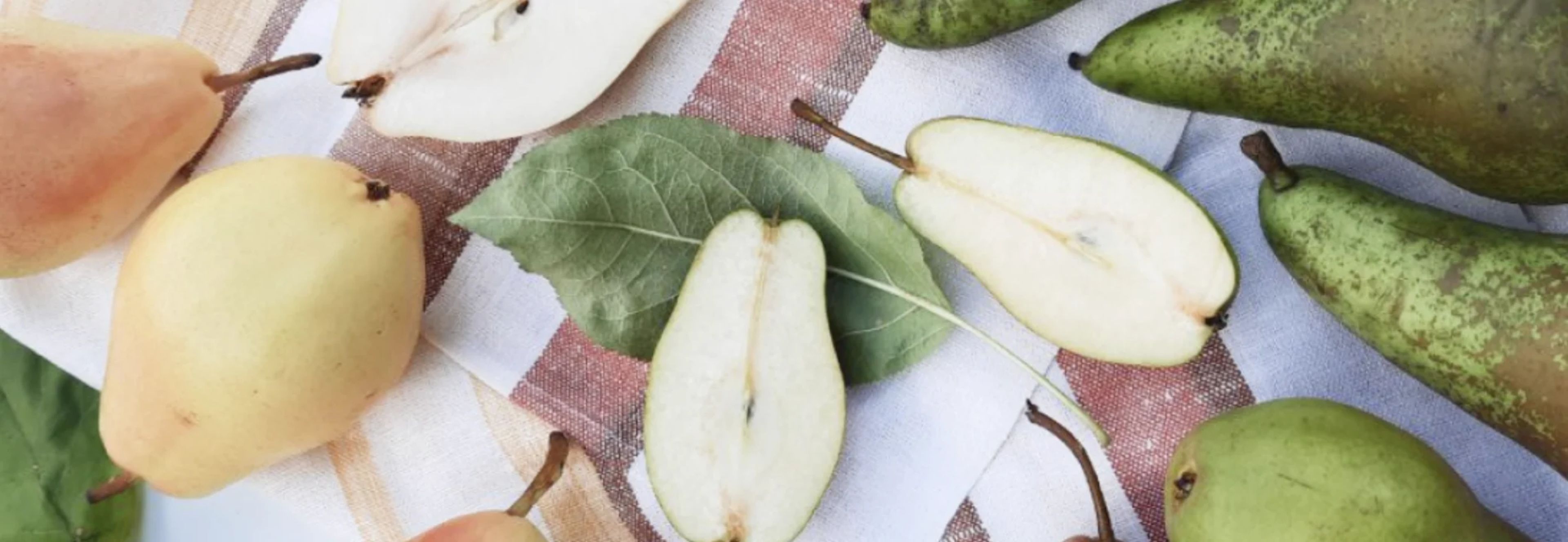 Груша: корисні властивості, лікувальне застосування та протипоказання