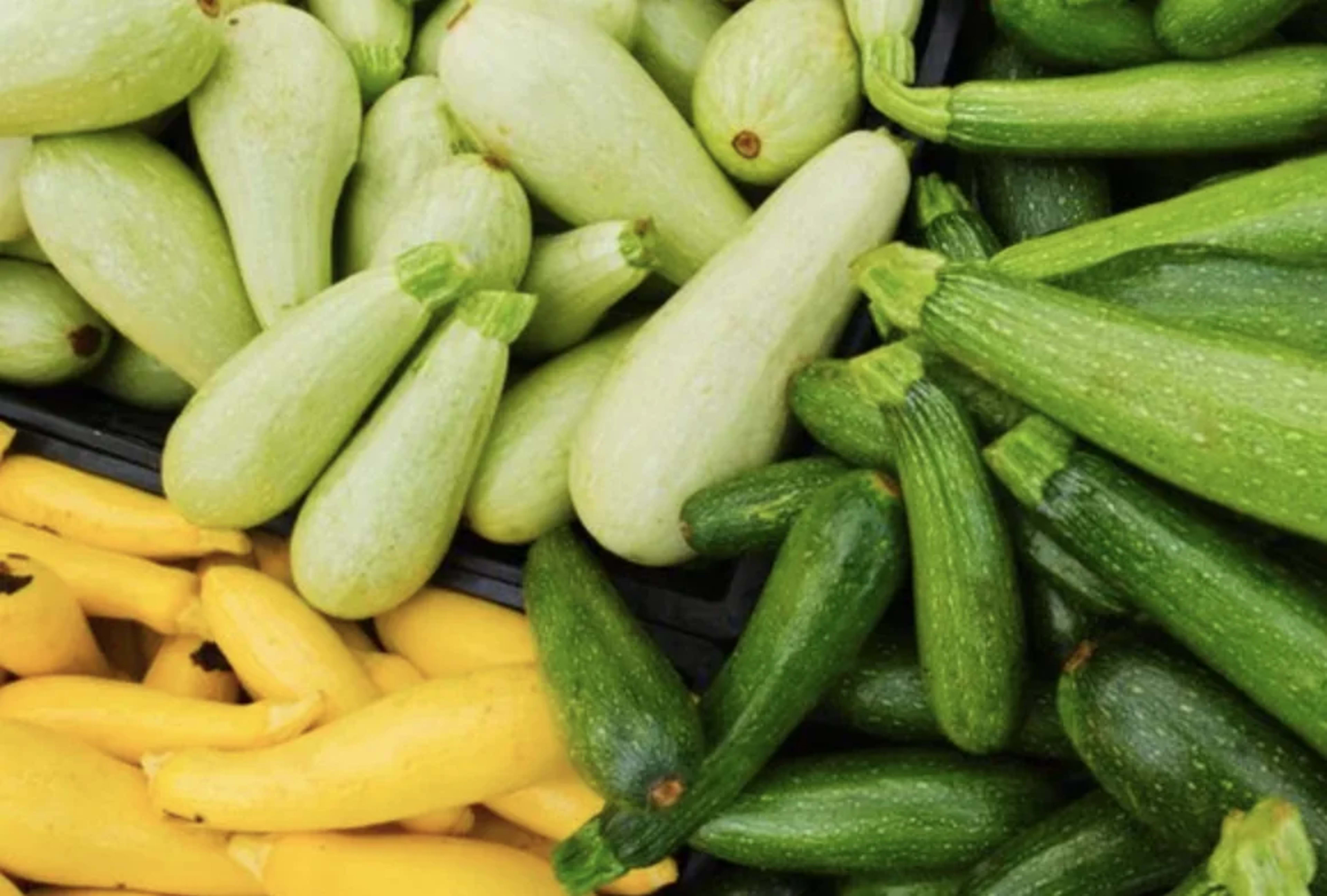 Кабачок: користь, вирощування та зберігання