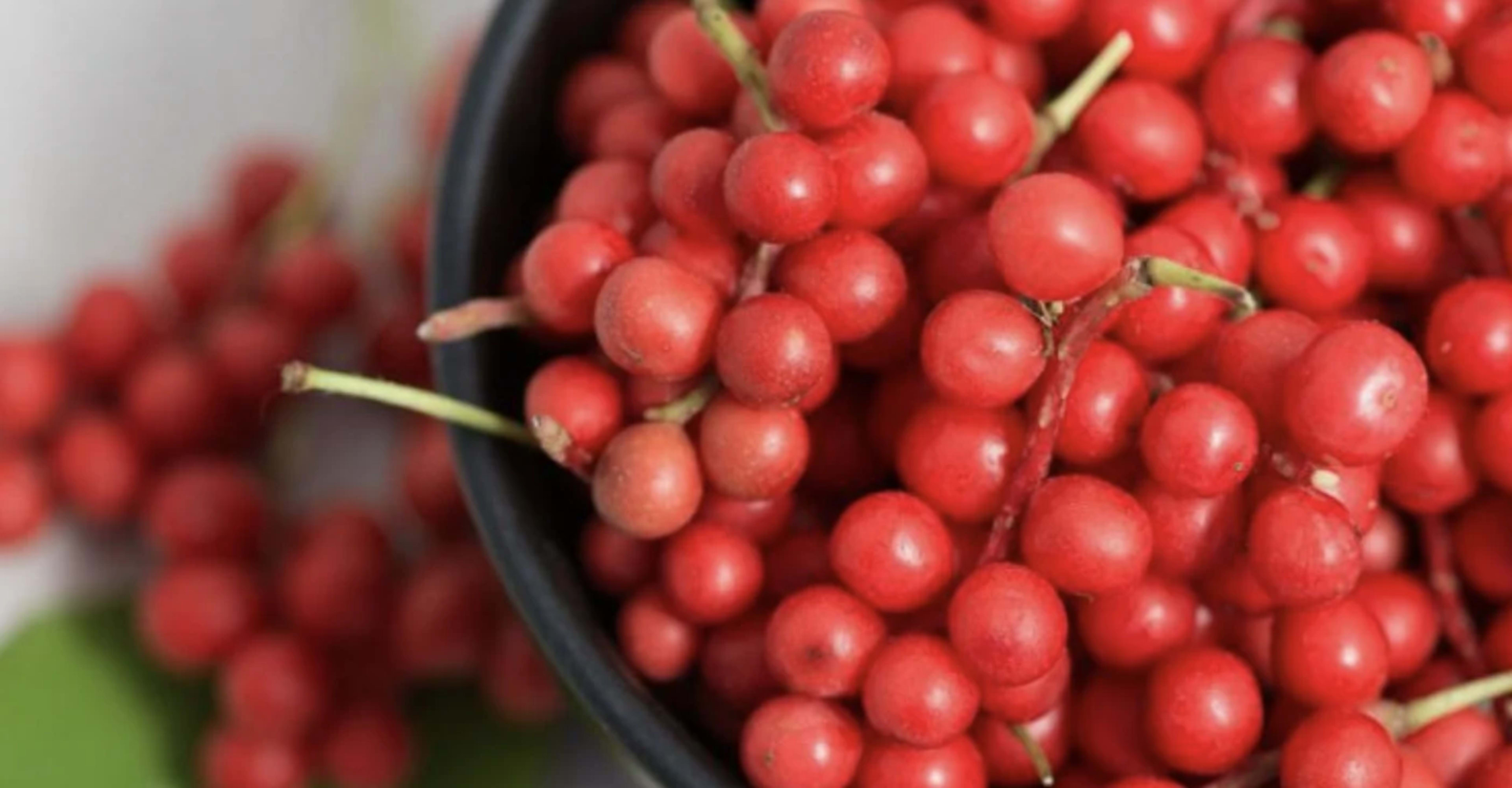 П’ять смаків лимонника китайського