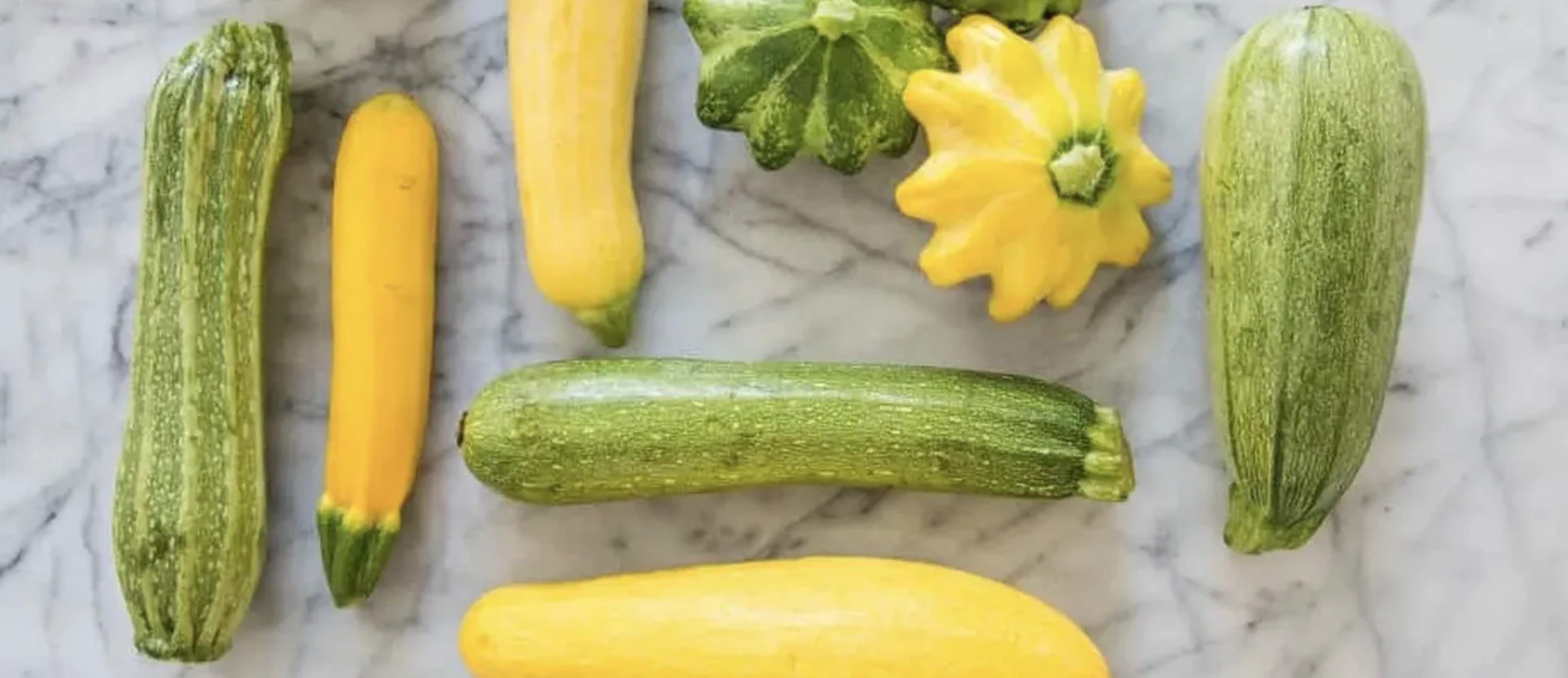 5 найкращих сортів кабачків-цукіні: огляд перевірених фаворитів