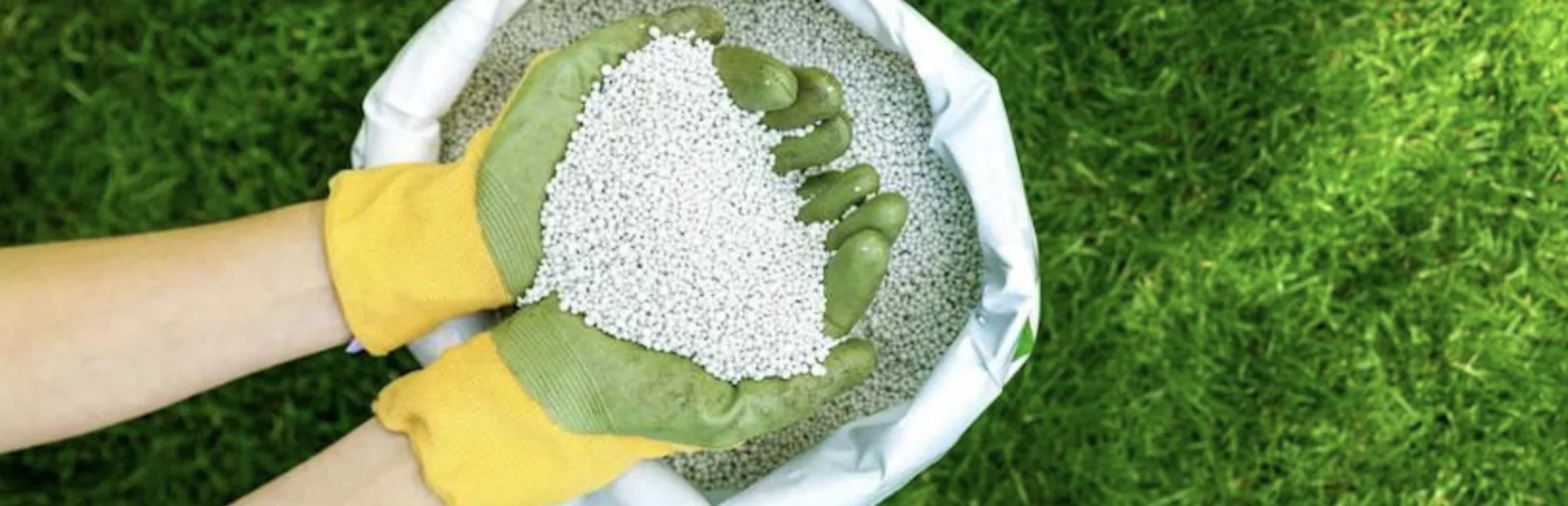Аміачна селітра: як правильно застосовувати, дози та застереження