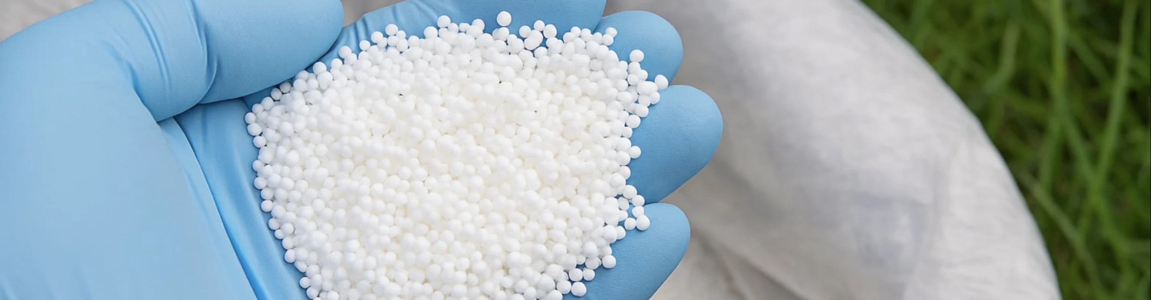 Аміачна селітра: як правильно застосовувати, дози та застереження