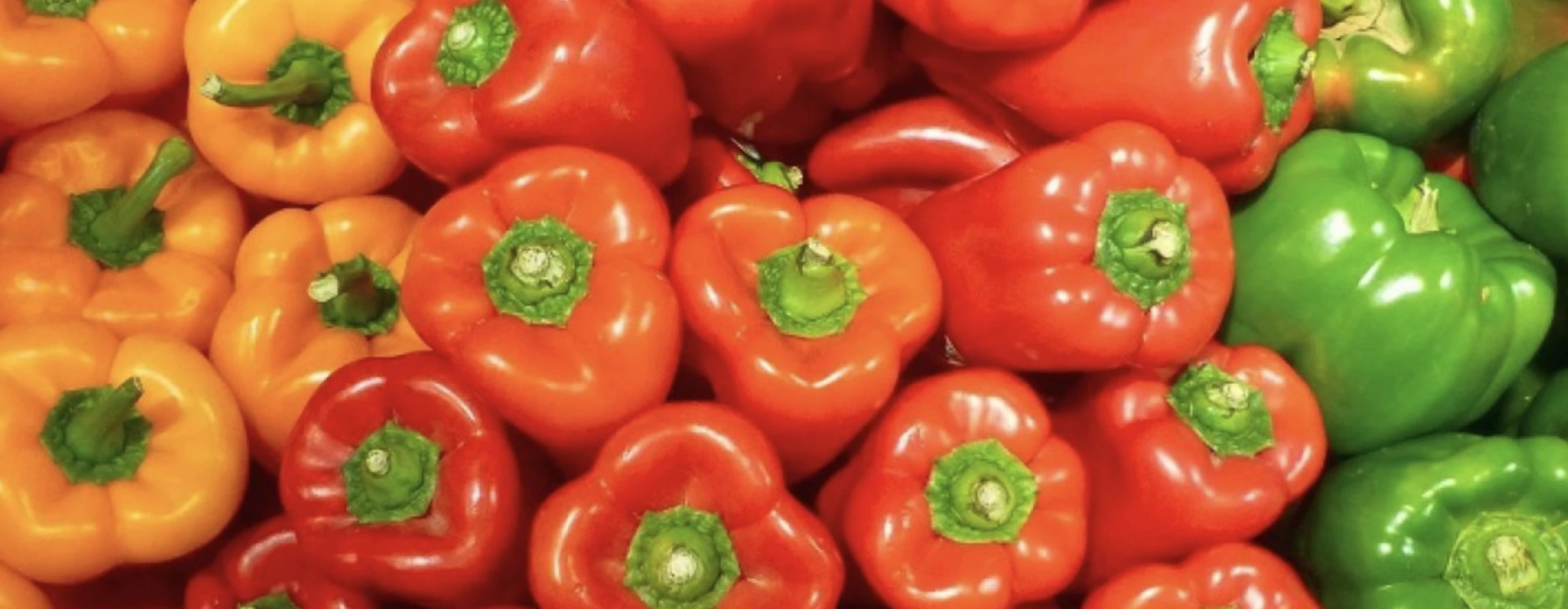 Вирощуємо перець: підживлення з перших днів і протягом усього сезону