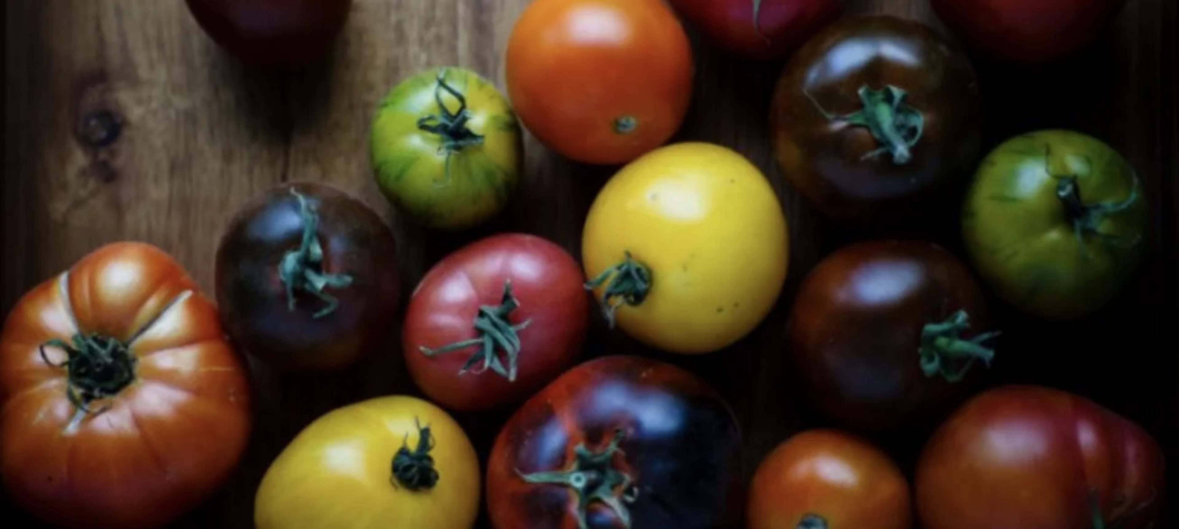 Різнокольорові томати: чим відрізняються жовті, чорні, зелені та білі сорти