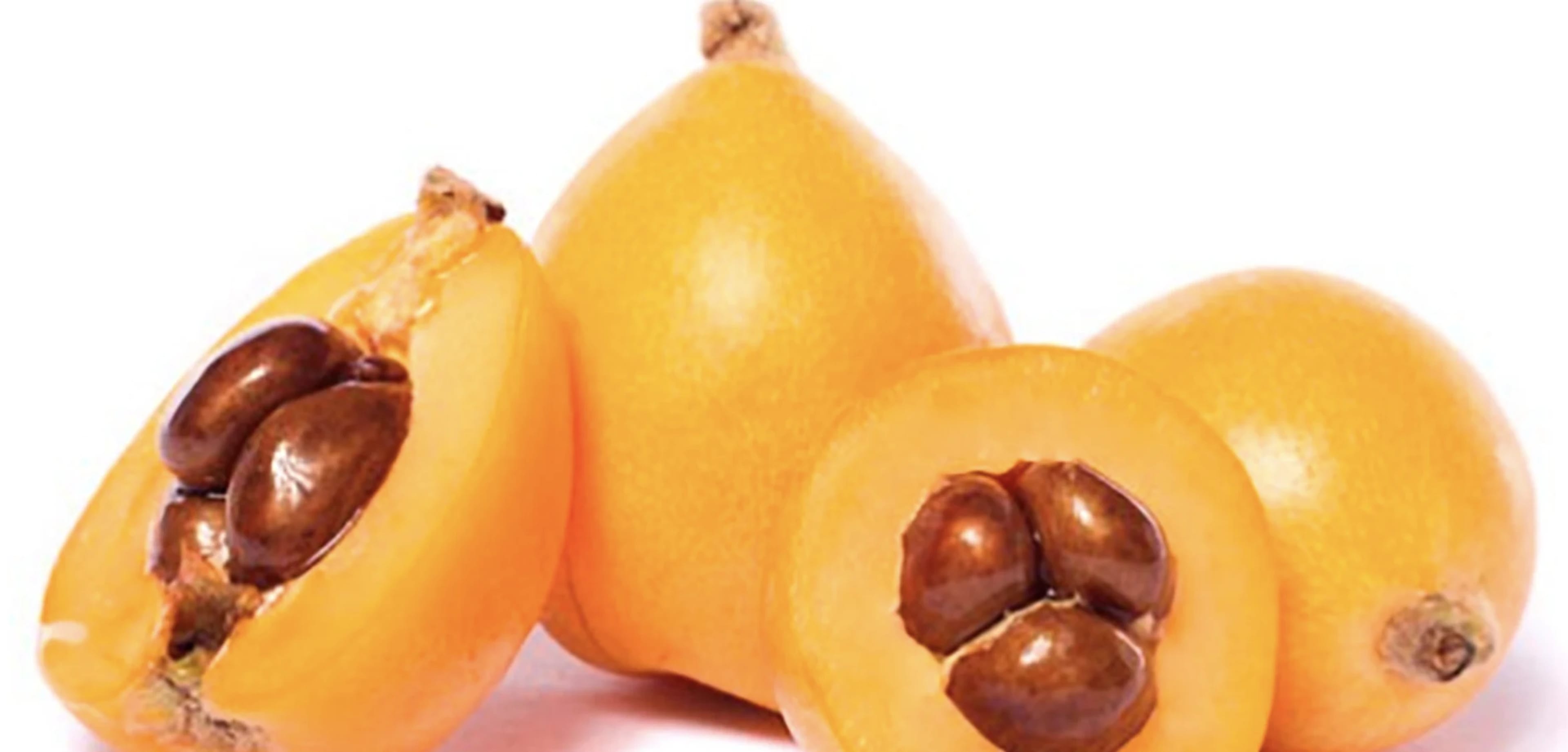 Мушмула: вирощування, догляд