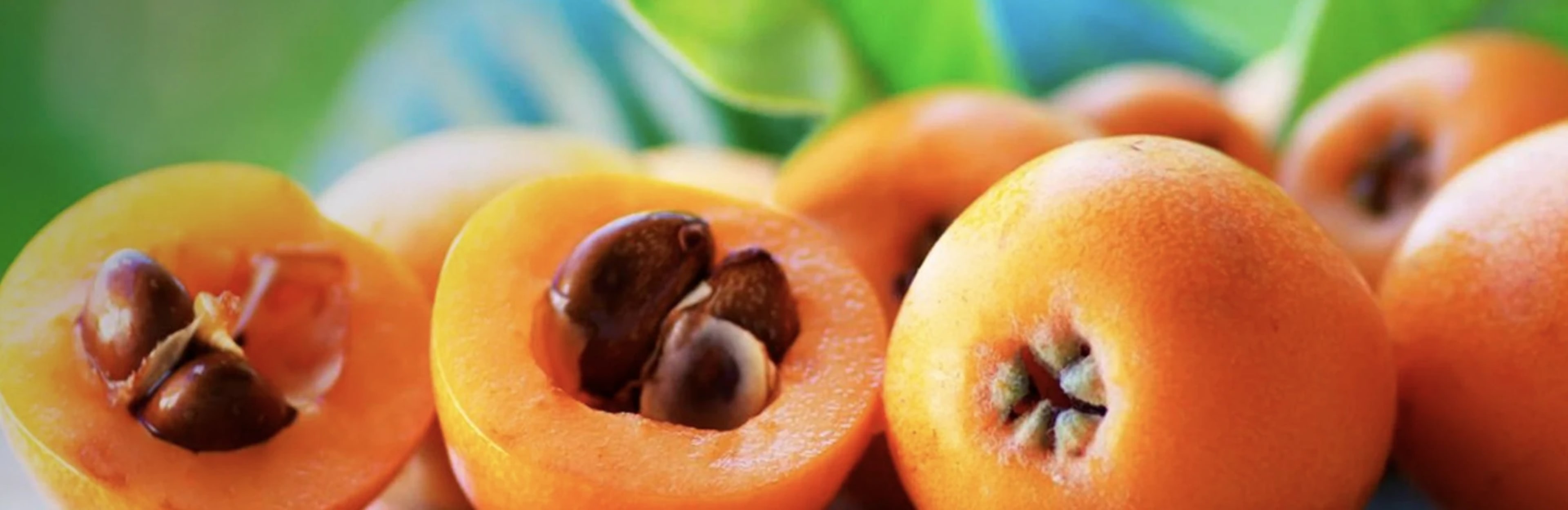 Мушмула: вирощування, догляд