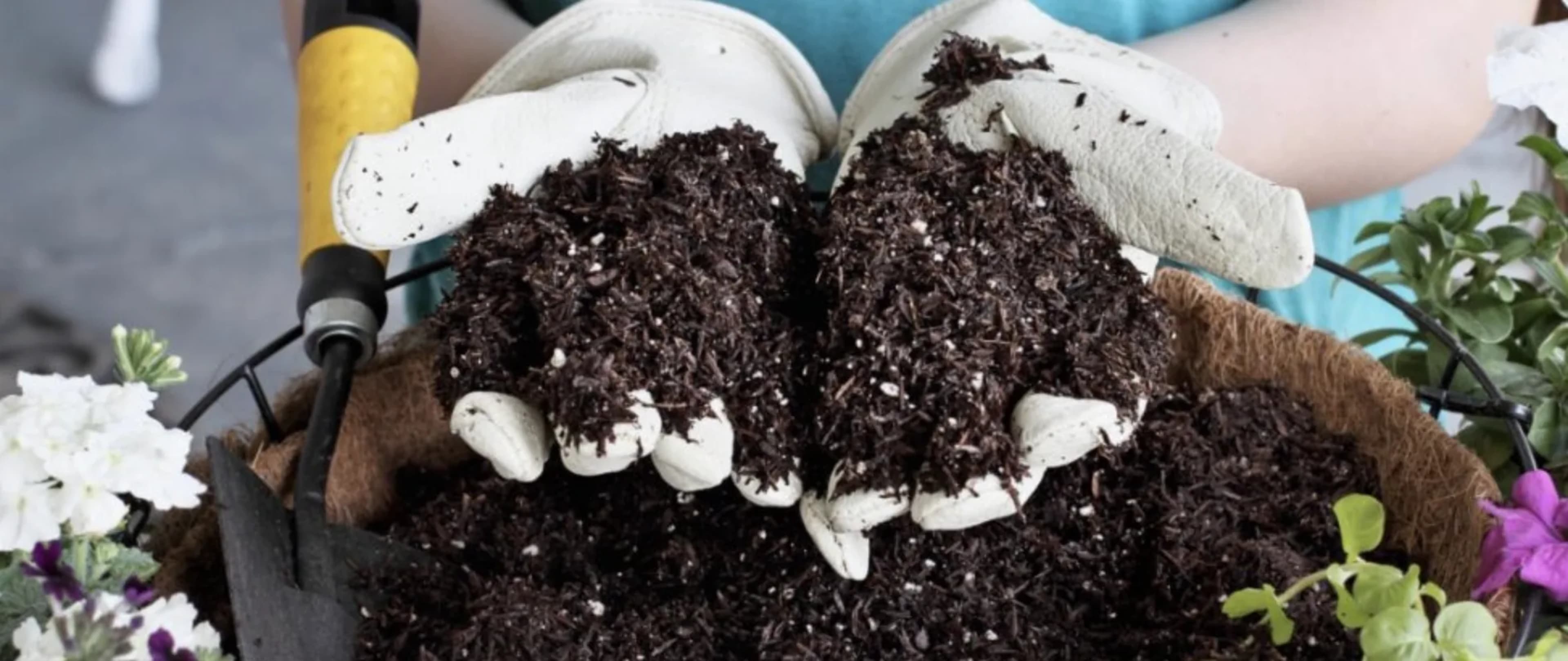 Як приготувати ґрунт для розсади: рецепти і поради