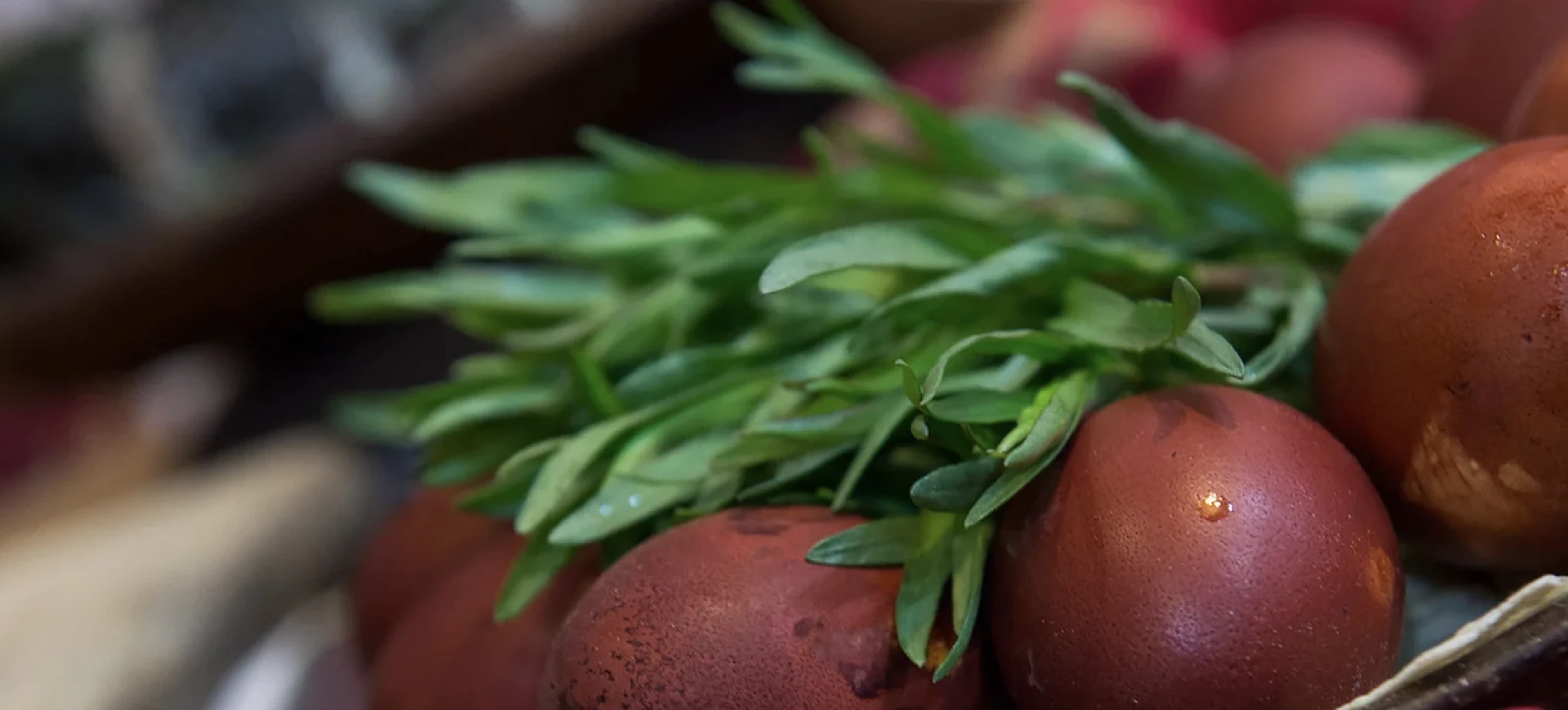 Тархун (естрагон): вирощування, різновиди та застосування