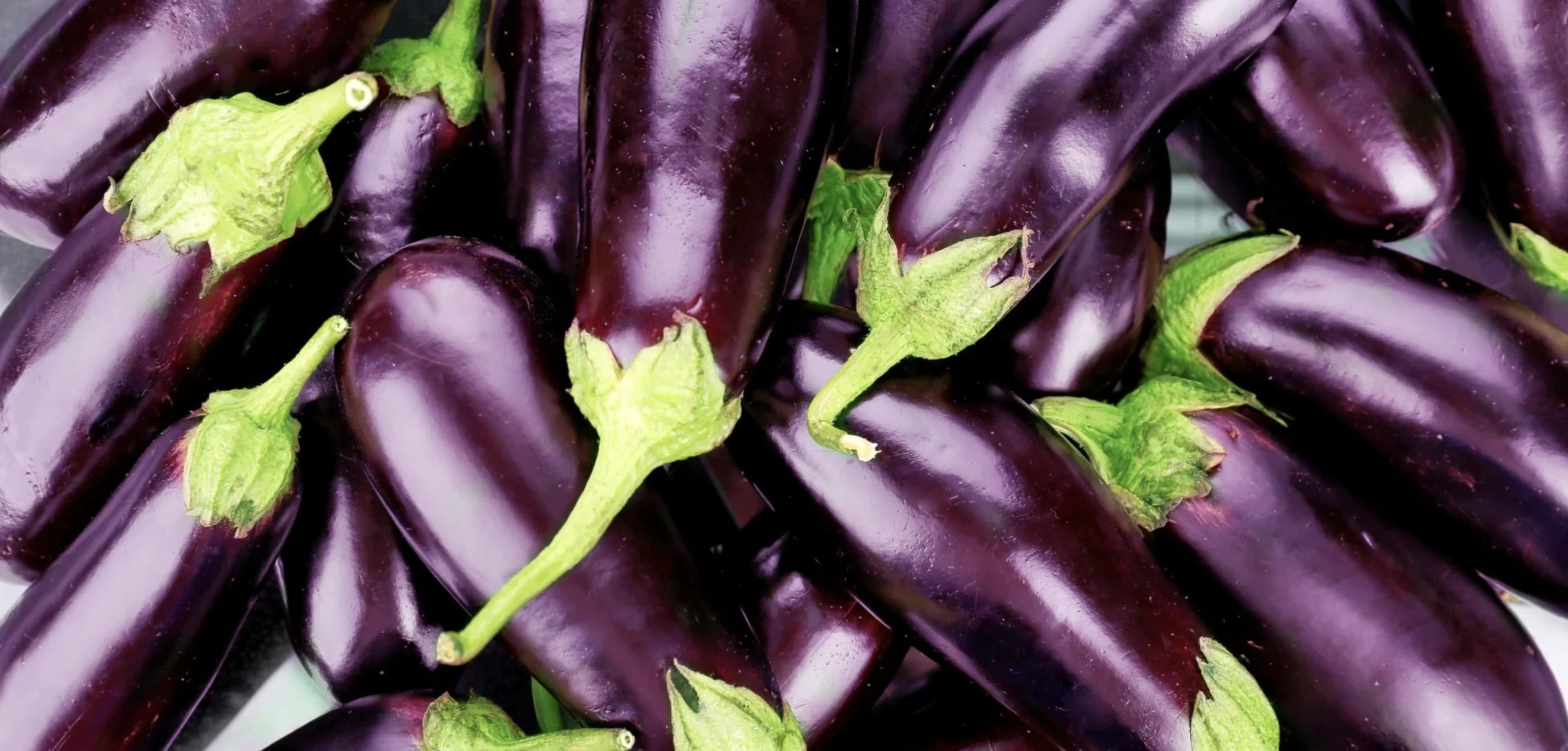 Баклажан: вирощування, підживлення та кращі сорти