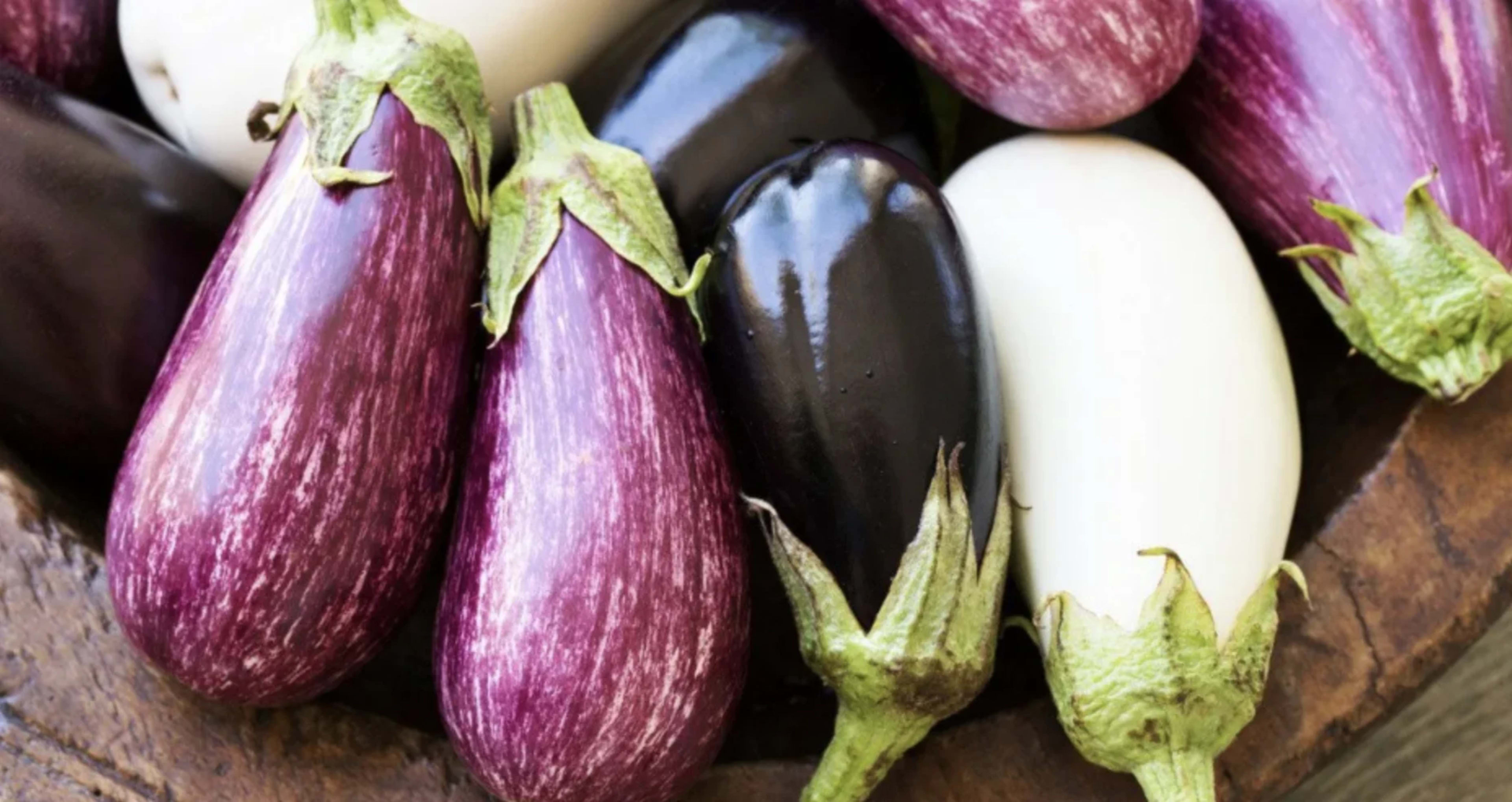 Баклажан: вирощування, підживлення та кращі сорти