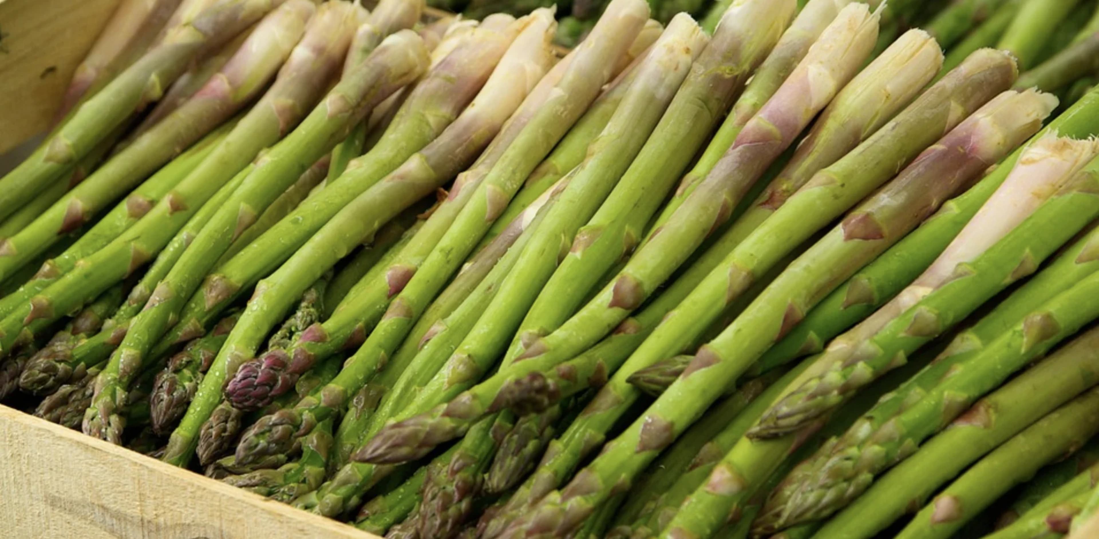 Спаржа: вирощування, догляд і збирання врожаю