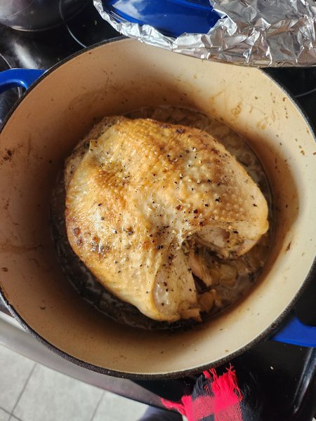 turkey breast en cocotte