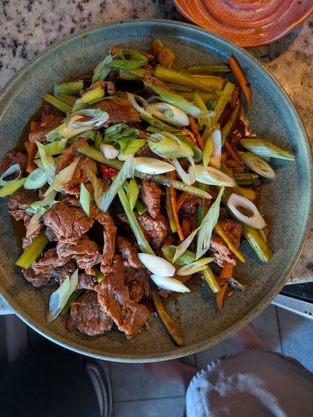 dry fried Sichuan beef