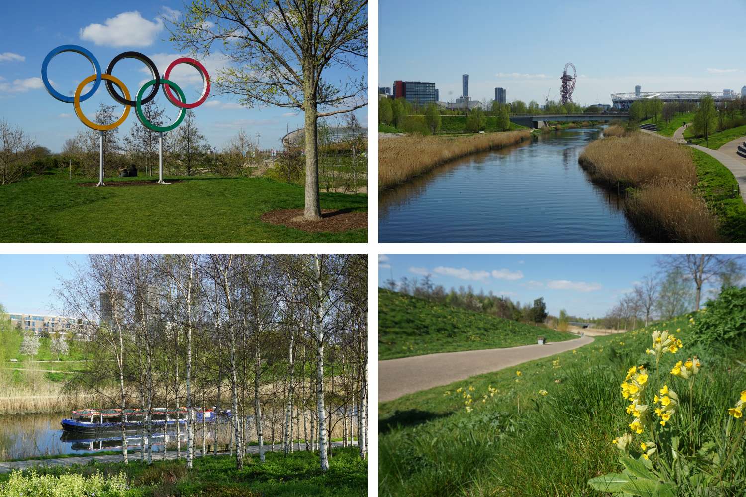 The Queen Elizabeth Olympic Park in London Stratford