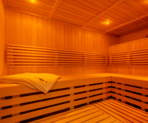 Sauna and steam