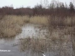 В Волгоградской области уровень воды в реках не превышает допустимых значений