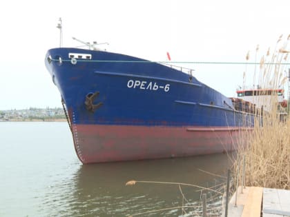 Сколько волгоградского зерна отправили в Иран из Камышина водным путем