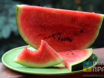 18 тонн арбузов из Ирана поступили в Волгоградскую область: быковские будут позже