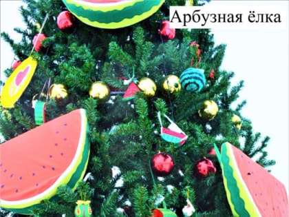 Камышинская арбузная елка - участник регионального этапа Всероссийского конкурса 
