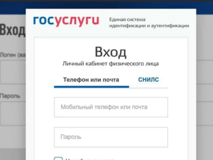 В администрации Волгоградской области сообщили, что порталом Госуслуги пользуются 70% камышан