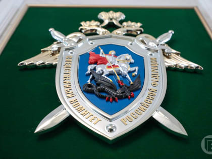 Бастрыкин потребовал привлечь к ответственности зиговавшего волгоградца