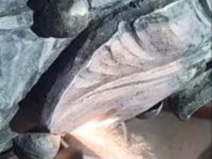 В Волгограде очистили бронзовый венок братской могилы