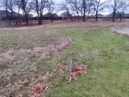 Волгоградцев удивляет 