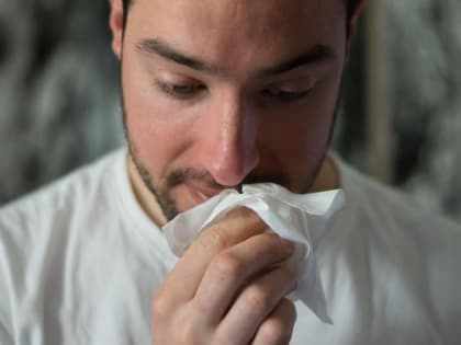 Действительно ли чеснок и мед помогают при простуде: мнение врача