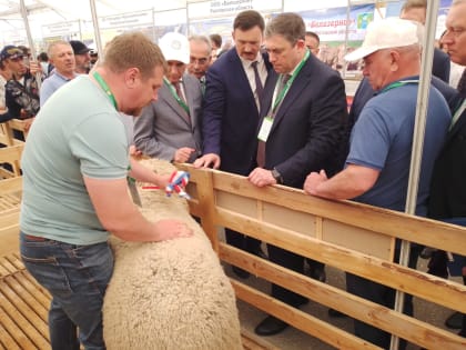 Животноводы Волгоградской области привезли с всероссийской выставки 8 медалей