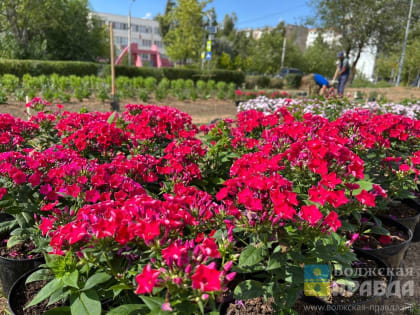 Безопасность на дорогах: акция в Лобне