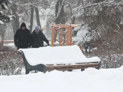 Для настроения волгоградцам рекомендуют больше гулять