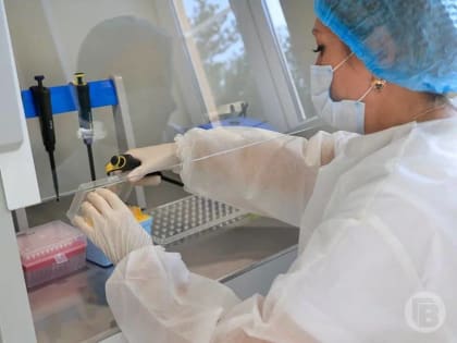 Волгоградцам рассказали, опасен ли для них 