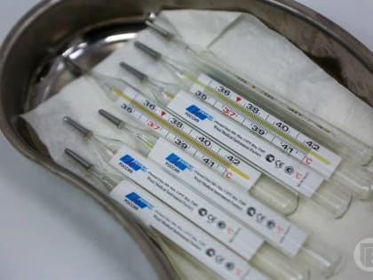 Опасным вирусом заразились 26 жителей Волгоградской области