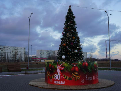 Определены победители Всероссийского конкурса «Елки России»